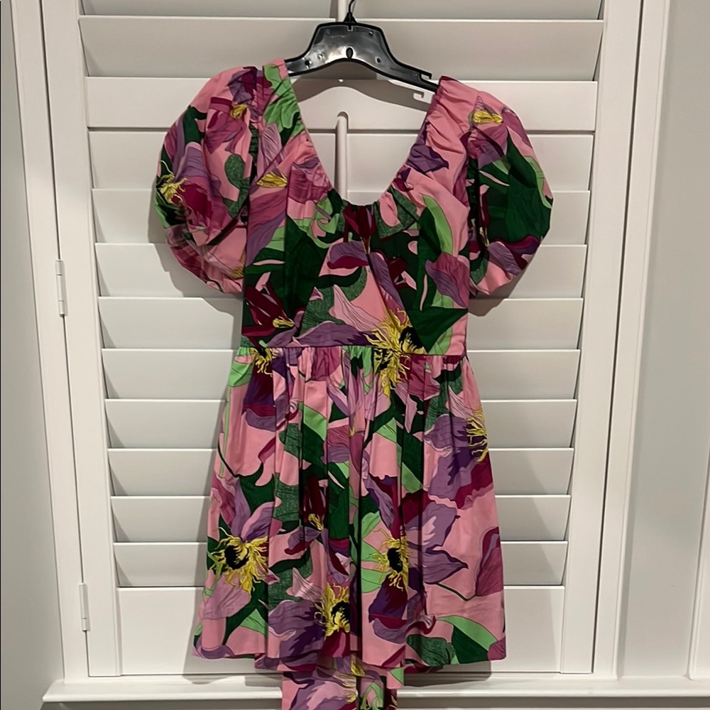 Express Pink and Green Puff Sleeve Mini Sundress